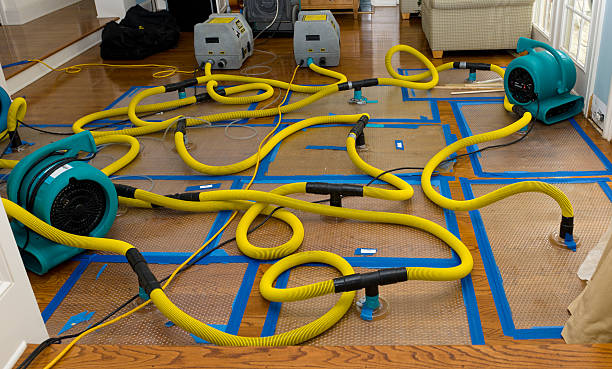 Professional Structural Drying And Dehumidification technician working in Hamill, SD