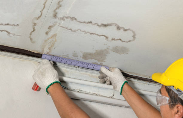 Affordable Water Damage Repair solutions in Hamill, SD